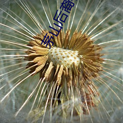 AG真人平台(中国)官方网站