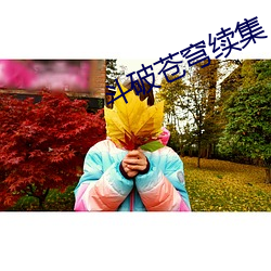 斗破苍穹续集