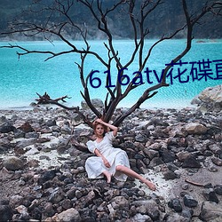 616atv花(花)碟直播(播)