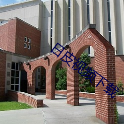 日(日)皮(皮)视频(頻)下(下)载