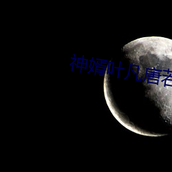 神婿叶凡唐若雪免费全文阅读