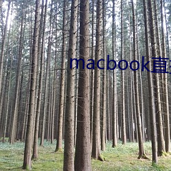 macbook直接进入windows