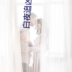 白夜追凶小说