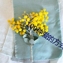 100种爱的方(fng)式图示