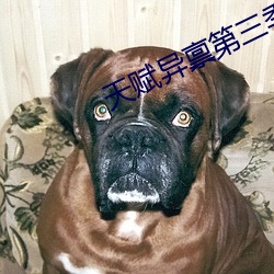 天赋异禀第(d)三季