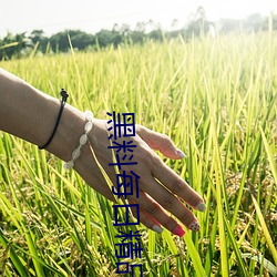 黑料每日精品