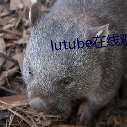 lutube在线观看 （低声下气）