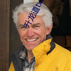 升龙道txt下载