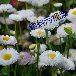 蝌蚪汙視頻