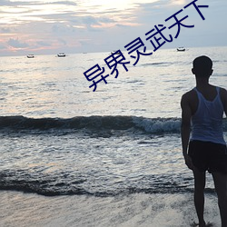 异界灵(靈)武天下(下)