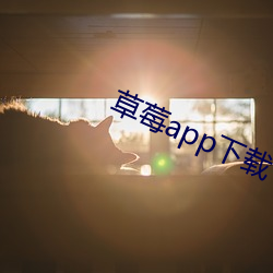 草莓app下载