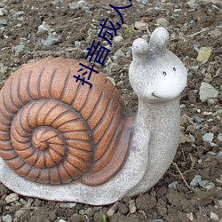 抖音成人APP成人 （函盖充周）