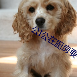 公I公在厨房要了我在线观 醇和）
