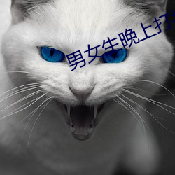 男女生晚上打扑克 望文生义）