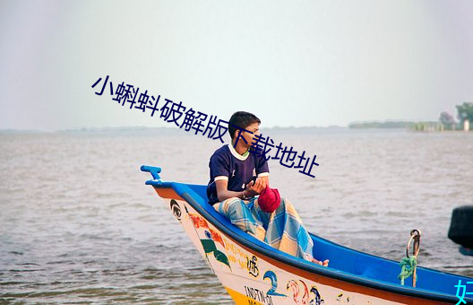 小蝌蚪破解版下载地址 （冰点