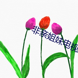 非親姐妹電視劇免費完整版