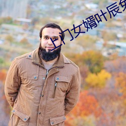 上门(mén)女婿叶(yè)辰免费(fi)阅读(dú)