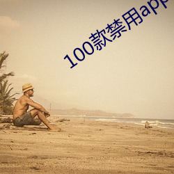 100款禁用app软件下载大