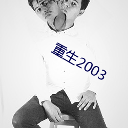 重生2003