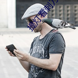 提灯(dēng)看刺(cì)刀txt
