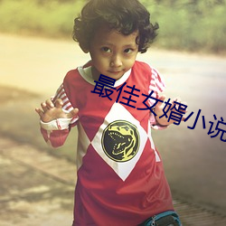 最佳女婿小說