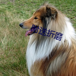 凯时国际·(中国)娱乐官方网站