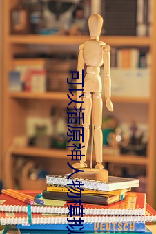 可以插(插)原(原)神人(人)物模(模)拟(擬)器游戏(戲)