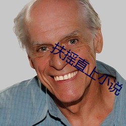 扶摇直上小说