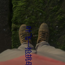 叶(yè)飞一枪挑(tiāo)母(mǔ)是第(dì)几章