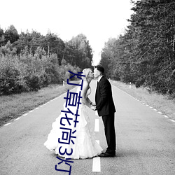 灯草花尚3灯高清免费