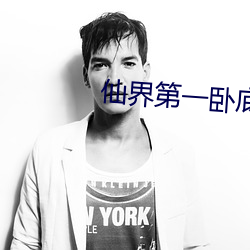 仙界(界)第一卧底
