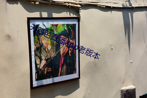 天鹅芭直播app老版本(běn)