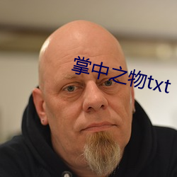 掌中之物txt