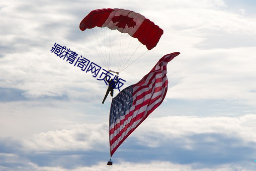 臧精阁网页版