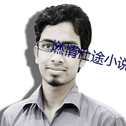 燃情(qíng)仕途小说