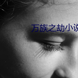 万(w¨¤n)族之(zh¨©)劫小说