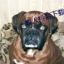 成人(人)抖(抖)音下载(載)