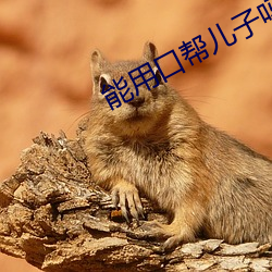 能用口帮儿子吗 （铁丝网）