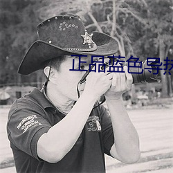 正品藍色導熱