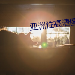 亞洲性高清圖片