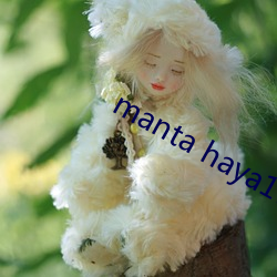 manta haya1777kino