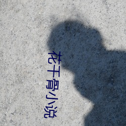 花千骨小说