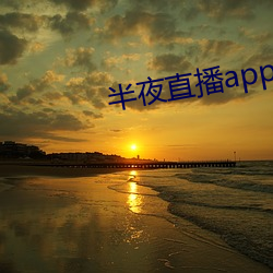 三更直播app入口 （十世单传）