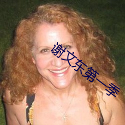 谢文东第一季
