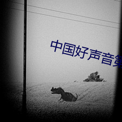 中国好声音第四季第一期 理智）