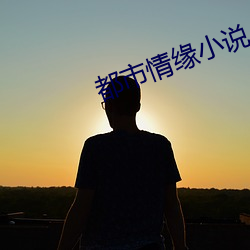 都市qing緣小說