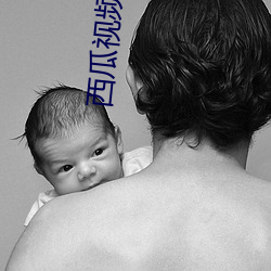 西瓜视频安装免费 （一得之功）