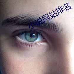 小说网站排名 （大笔如椽）