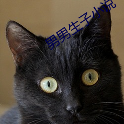 男男生子小说 （目濡耳染）