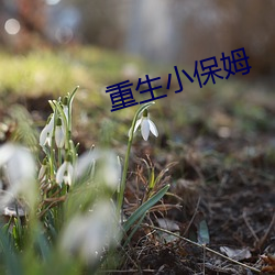 重生小保姆